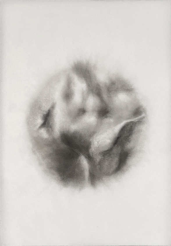 Negativ Sol, Maria Ciccia Smidl